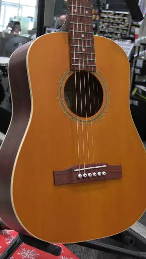 Epiphone - EANTANNH 2